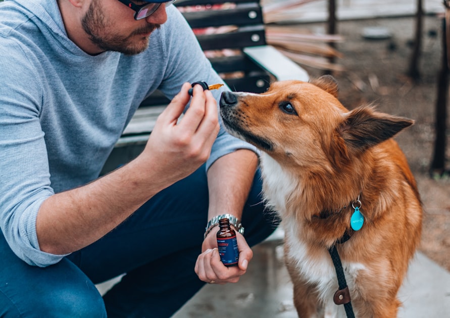 Online Pharmacy for Pets